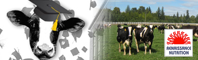 W-S Feed & Supplies Serving Southwestern Ontario